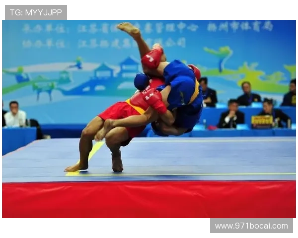 2026年度重量级散打比赛精彩回顾与精彩瞬间